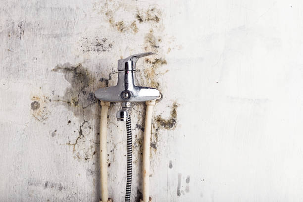 Mold Removal and Inspection in La Grande, OR